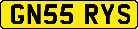 GN55RYS