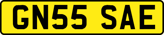 GN55SAE