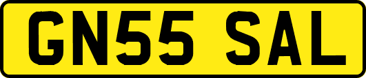 GN55SAL