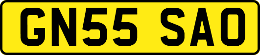 GN55SAO
