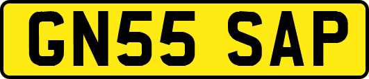 GN55SAP