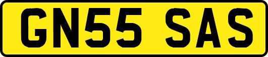 GN55SAS