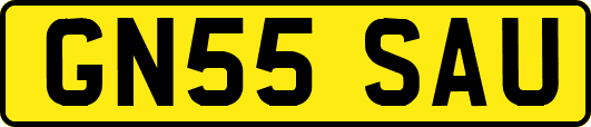GN55SAU