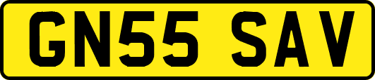 GN55SAV