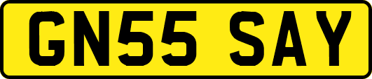 GN55SAY