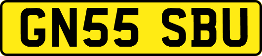 GN55SBU