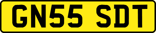GN55SDT