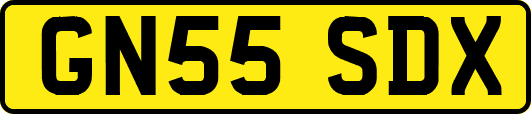 GN55SDX