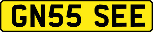 GN55SEE