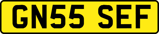 GN55SEF