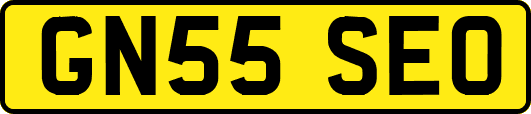 GN55SEO
