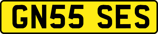GN55SES