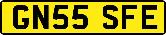 GN55SFE