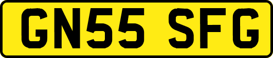 GN55SFG