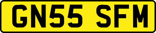 GN55SFM