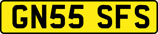 GN55SFS