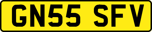 GN55SFV