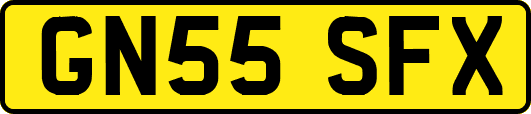 GN55SFX