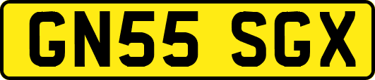 GN55SGX