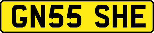 GN55SHE