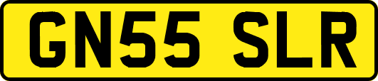 GN55SLR