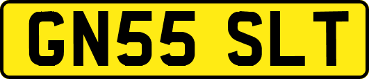 GN55SLT