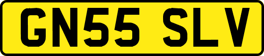 GN55SLV