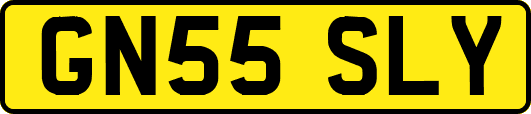 GN55SLY