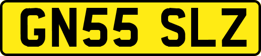 GN55SLZ