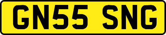 GN55SNG