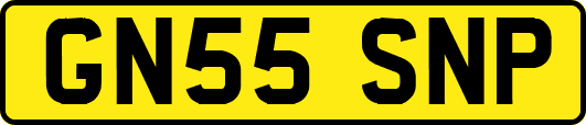 GN55SNP