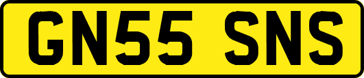 GN55SNS