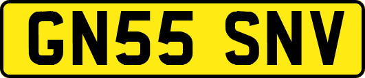 GN55SNV
