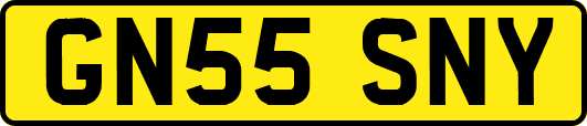 GN55SNY