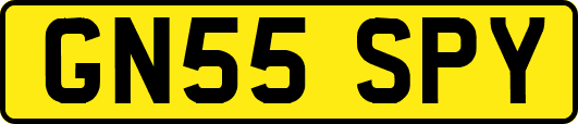 GN55SPY