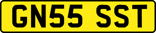 GN55SST