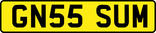 GN55SUM