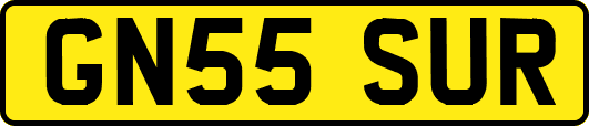 GN55SUR