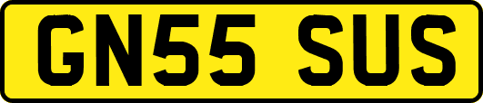 GN55SUS