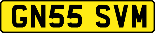 GN55SVM