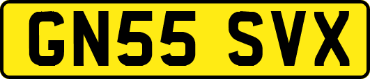 GN55SVX