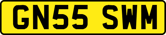 GN55SWM