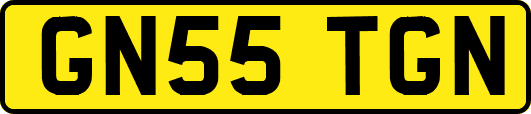 GN55TGN