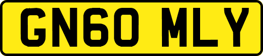 GN60MLY
