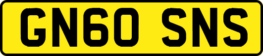 GN60SNS