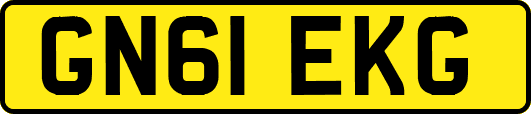 GN61EKG