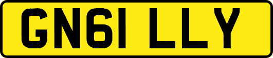 GN61LLY