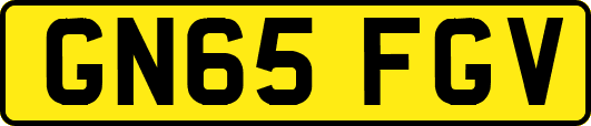 GN65FGV