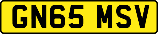 GN65MSV