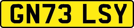 GN73LSY